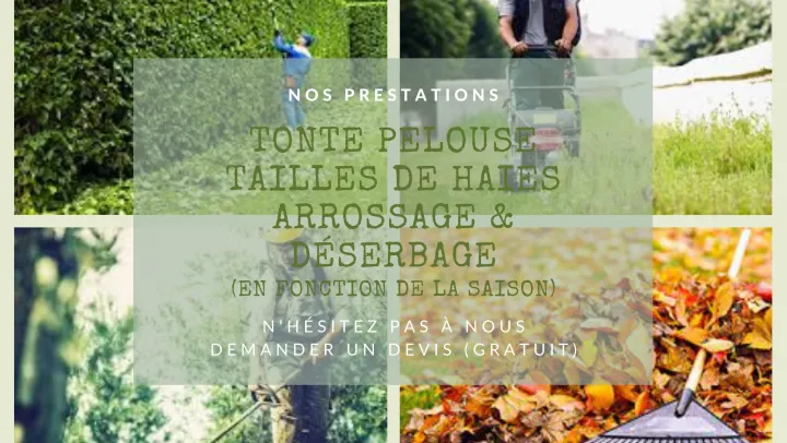 Aide à domicile sur mesure à Rouen avec Domicilis