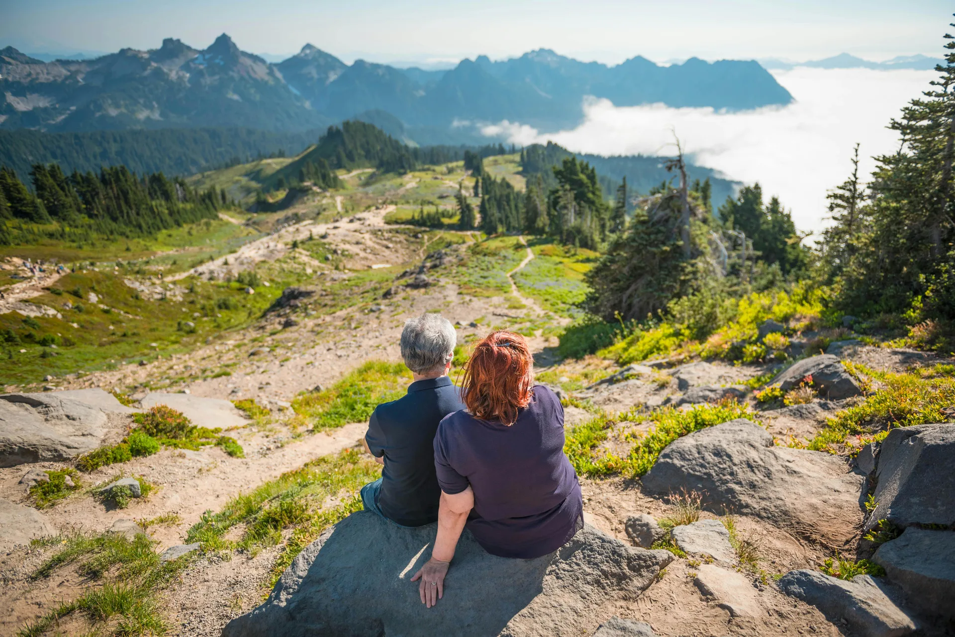 Groupe de seniors en randonnée dans une forêt ensoleillée, bâtons de marche